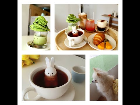 Видео: Кафе с собачкой СОЛЬ/카페솔츠/애견동반카페