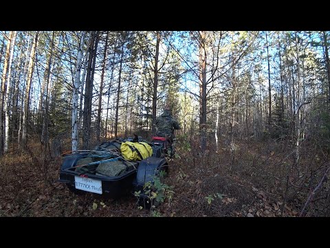 Видео: ЧЕРЕЗ БОР НА МОТОВЕЗДЕХОДЕ ЗА НАЛИМОМ! ПАЛАТКА, ПЕЧКА И НОВЫЕ ЗАКИДУШКИ \ ВСЁ ГОТОВО, ЖДЁМ НИКОДИМА!