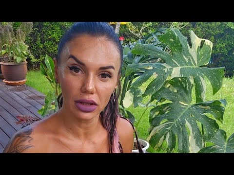 Видео: 2 сезон. Пів року утримання рослин в умовах природи Тайланду. Серія #1