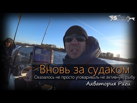 Видео: Вновь за судаком. У меня рыбалка не задалась, зато напарник тему понял.