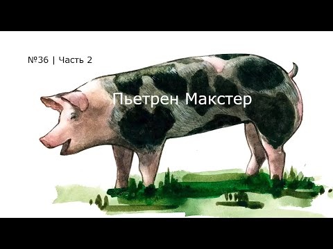 Видео: №36 | Тренд | Дорогие поросята.