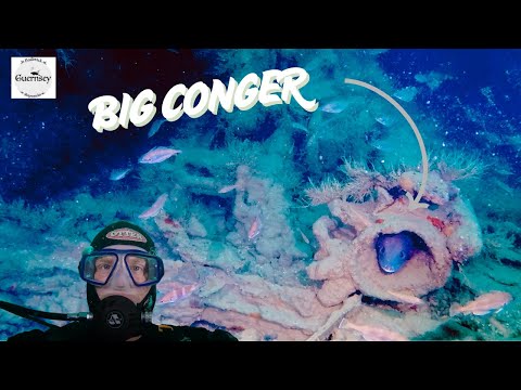 Видео: Этот старый затонувший корабль был ПОЛОН РЫБЫ! И нырять там с аквалангом было одно удовольствие |...