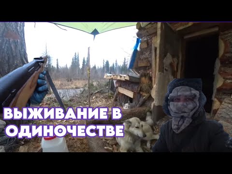 Видео: ВСЕ СЕРИИ ПРОМЫСЕЛ, ВЫЖИВАНИЕ, ОХОТА И РЫБАЛКА  ПОЛГОДА В ОДИНОЧЕСТВЕ |К1|