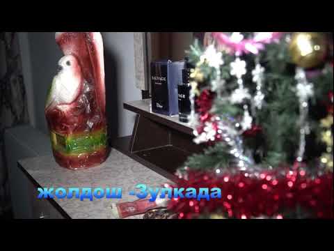 Видео: Жолдош Зулкада Чон-Кара айылы