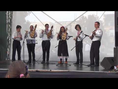 Видео: Бучимиш-камерна група към НМУ "Л.Пипков" с преп.Вели Чаушев