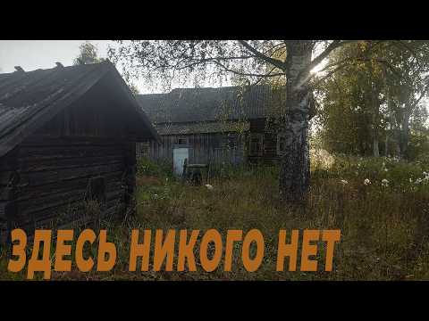 Видео: ПОЧЕМУ В ЭТОЙ ДЕРЕВНЕ НЕТ ЛЮДЕЙ? ведь ЕСТЬ ВСЕ ДЛЯ ЖИЗНИ, СВЕТ,ВОДА, ДОРОГА,