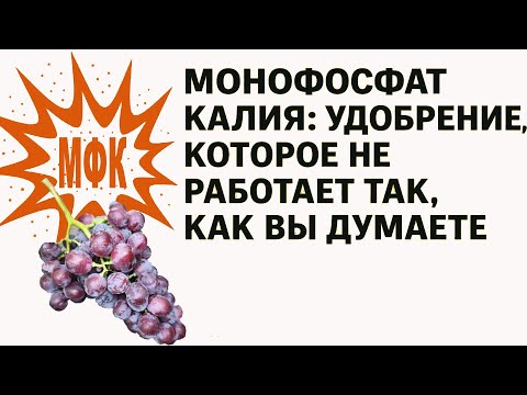 Видео: 💥 Монофосфат калия! Прежде чем применять его на винограде обязательно посмотрите этот ролик.