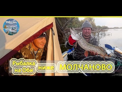 Видео: Рыбалка на Оби   ниже МОЛЧАНОВО!