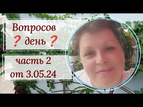 Видео: Вопросов ❓❓❓ день. 2 серия. Выпуск от 3.05.24г.