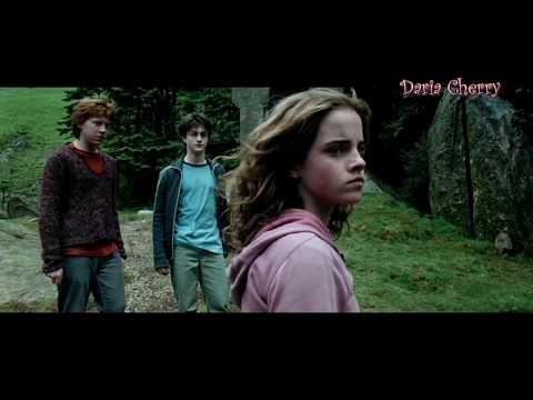 Видео: Гермиона и Драко\ Hermione and Draco - Золотыми рыбками