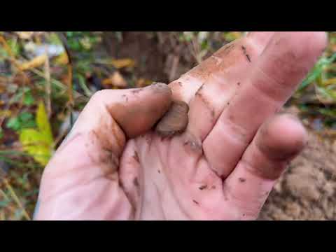 Видео: Коп по старине