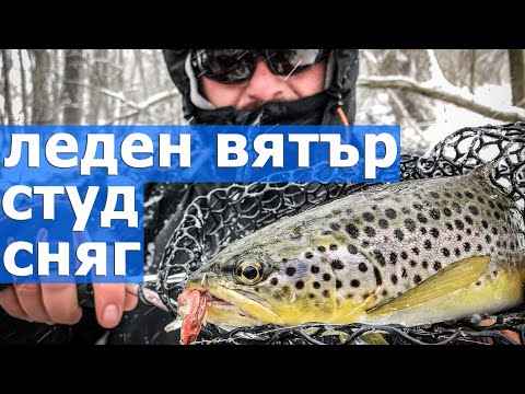 Видео: Екстремен риболов на пъстърва. Снеговалеж, леден вятър и студ.