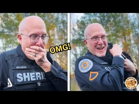 Видео: Сюрприз от нового щенка 🐶 Когда новый щенок меняет всё!💕