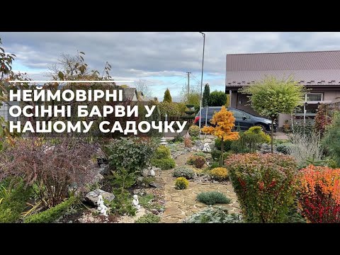 Видео: Неймовірні осінні барви у нашому садочку