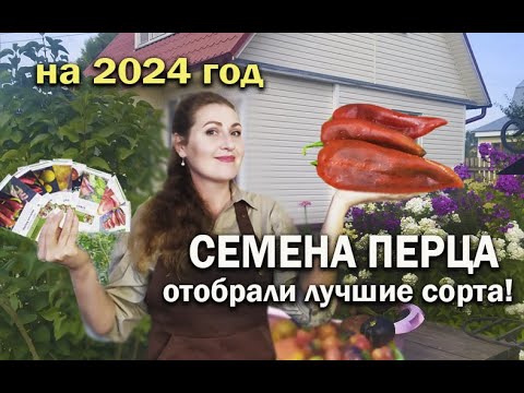 Видео: ПЕРЕЦ. СОРТА ПЕРЦА. СЕМЕНА ПЕРЦА.