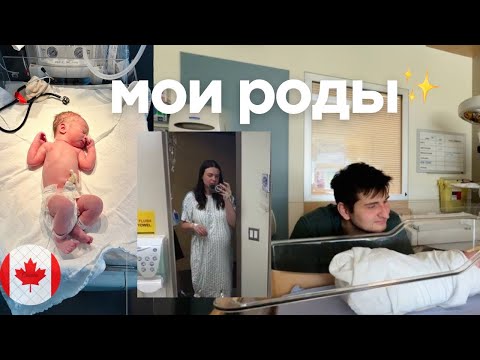 Видео: МОИ ПЕРВЫЕ РОДЫ 🐣 роды в Калгари 🇨🇦 от стимуляции схваток до родов, мой опыт ❤️