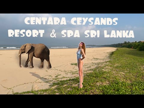 Видео: ПОЛНЫЙ обзор отеля Centara Ceysands Resort & Spa Sri Lanka.Карантин.