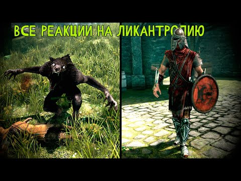 Видео: Skyrim - ВСЕ РЕАКЦИИ НА ЛИКАНТРОПИЮ!