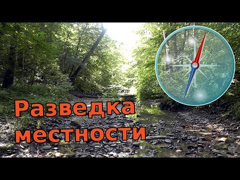 Видео: ИДЕЯ ДЛЯ ПОХОДА - куда пойти в поход? Одиночный выход в лес на разведку местности