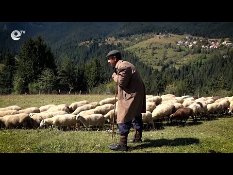 Видео: Истории извън новините - Овчарят-пазител на планината