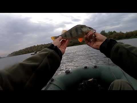 Видео: Сплав по Десне  октябрь 2020