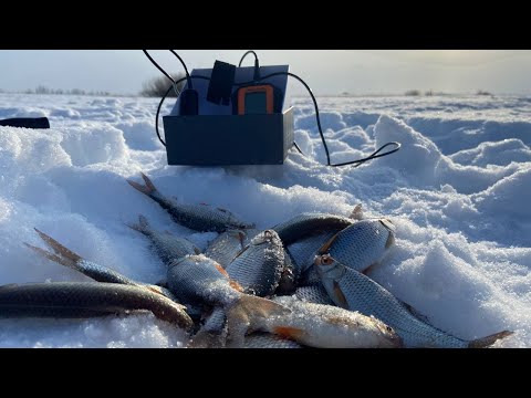 Видео: ВЕСЕННЯЯ РЫБАЛКА НА ПЛОТВУ!МАРТОВСКАЯ РЫБАЛКА!ПЛОТВА НА БОЛТУШКУ!