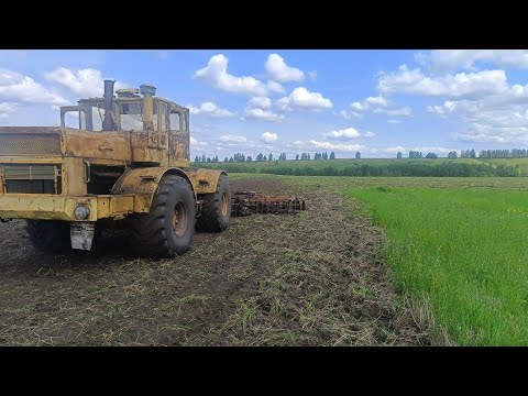 Видео: Подготовка почвы к посеву на Кировце К701 дисковой броной БДТ7 "За час до клина мотора "