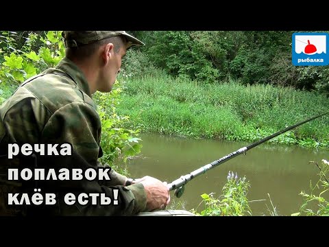 Видео: Клёвая рыбалка на поплавок на малой реке летом! Красота!
