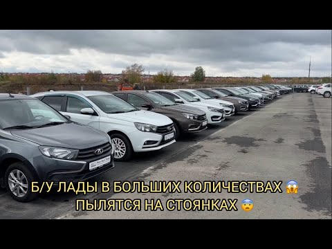 Видео: ЛАДАМИ Б/У ЗАБИВАЮТ ПЛОЩАДКИ ПОД ЗАВЯЗКУ 😱❗️