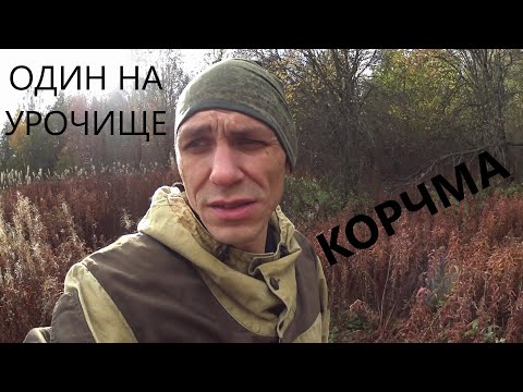 Видео: ОДИН НА УРОЧИЩЕ | ШУРФ КОРЧМЫ | 1 СЕРИЯ @poiskovik_md