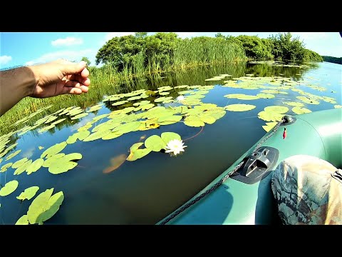 Видео: Рыбалка на зимнюю снасть в жару в чем СЕКРЕТ ловли