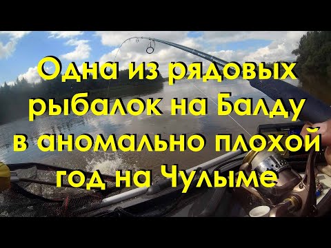 Видео: Одна из рядовых рыбалок на Балду в аномально плохой год на Чулыме