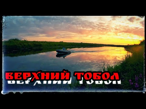 Видео: Судак vs Щука. Кто кого?