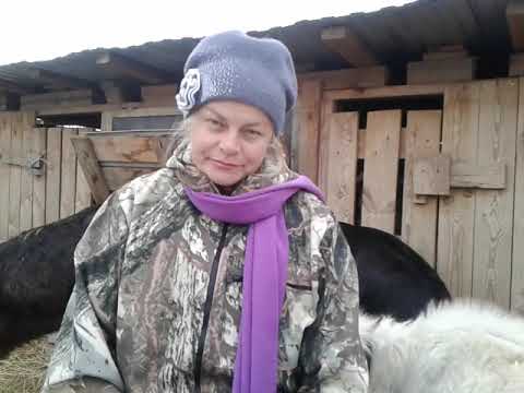 Видео: Сколько козы живут? 🐐