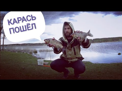 Видео: На разведку за карасём. Рыбалка на фидер на Инютинском озере.