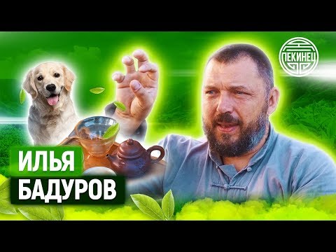 Видео: ИЛЬЯ БАДУРОВ / ЧАЙНЫЙ БАЗАР
