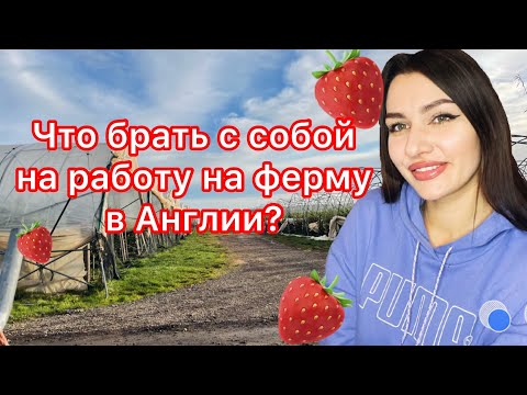 Видео: Что взять с собой на ферму в Англию?