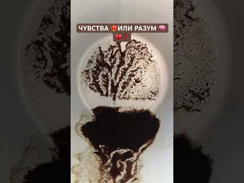 Видео: СЛОЖНЫЙ ВЫБОР:ЧУВСТВА ИЛИ РАЗУМ?#онлайнгадание #гаданиеналюбовь #шортстаро #таро #гаданиенамужчину