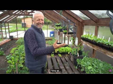 Видео: Даудинг  Секреты идеального компоста для рассады