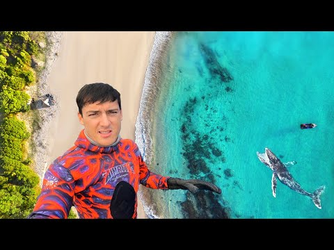 Видео: 2 ДНЯ ОДИНОЧНОЙ ПОДВОДНОЙ ОХОТЫ И КЕМПИНГА В НОВОМ ЮЖНОМ ЮГЕ