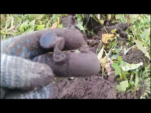 Видео: Поехал поискать с металлоискателем . Находки есть