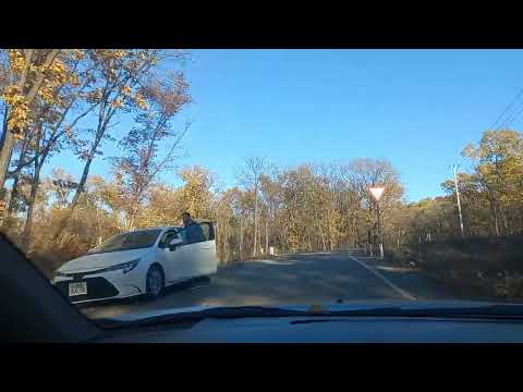 Видео: От бывшего п/лагеря ''Вымпел'' до конечной остановки на Полярной. Пригород Хабаровска. Октябрь 2025.