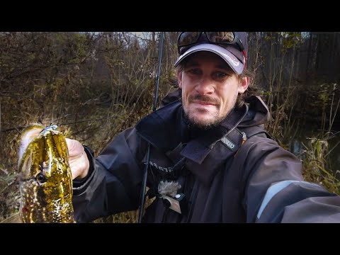 Видео: Раскрываю секреты ловли щуки на джиг осенью на малой реке. [Пора ловить щуку]