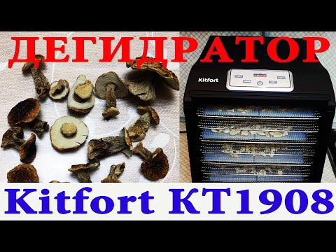 Видео: Сушилка Kitfort КТ-1908, дегидратор китфорт кт-1908, сушилка для овощей и фруктов, обзор, отзыв.