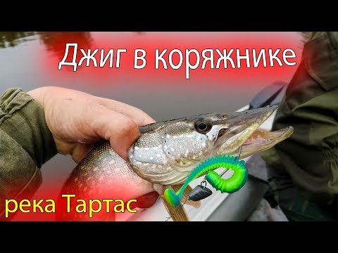 Видео: Джиг в коряжнике. Рыбалка на щуку. река Тартас