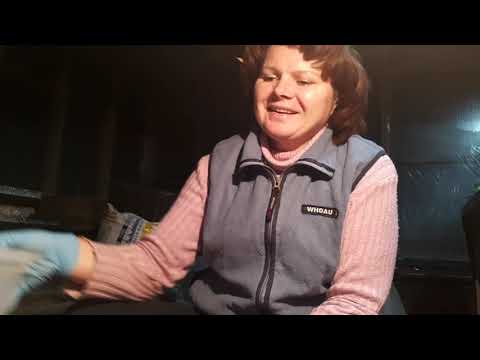 Видео: Мысли вслух. Увеличить ДОХОД,  снизить РАСХОДЫ.