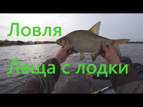 Видео: Ловля леща с лодки на бортовые удочки / Как поймать леща с лодки / Снасти для ловли леща