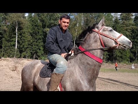 Видео: БУЗКАШИ ДАР ШАХРИ МОСКВА РАМОНСКИЙ 