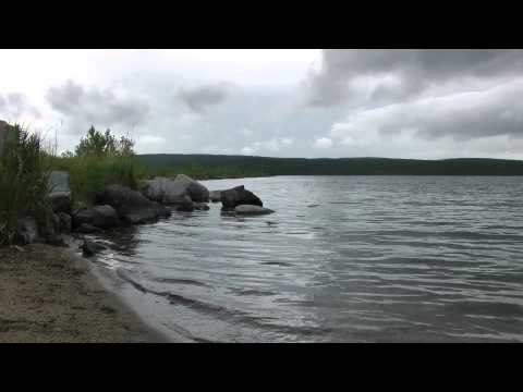 Видео: Пинозеро