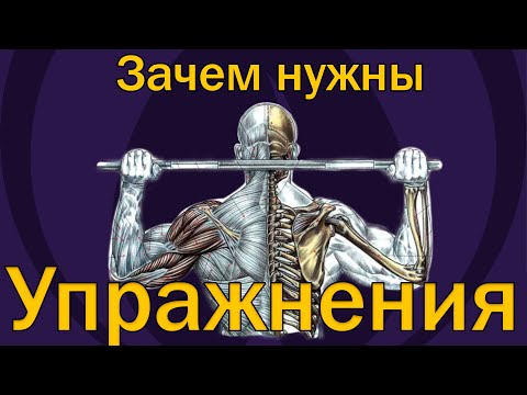 Видео: Зачем нужно делать упражнения?  [S02E04]